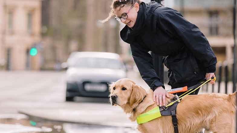 A guide dog mobility trainer training a guide dog on crossing roads.