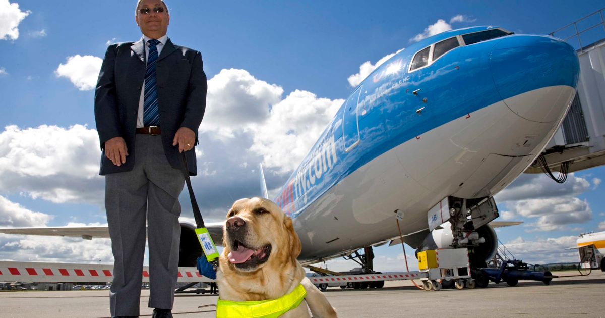 are seeing eye dogs allowed on planes