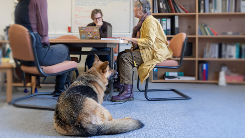 A guide dog lies on the floor, next to their guide dog owner, in a University classroom.