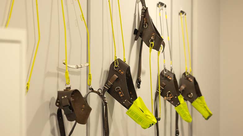 Brown training harnesses with yellow flashes hanging on a wall.