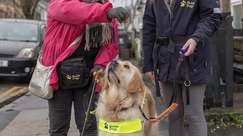 A guide dog owner stands with her Guide Dog Mobility Specialist, as she provides her guide dog with a food reward from a treat pouch.