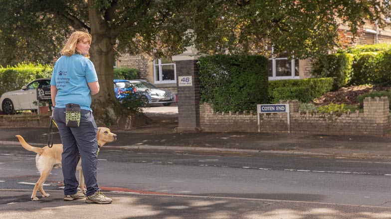A guide dog owner and trainer prepare to cross a residential road.