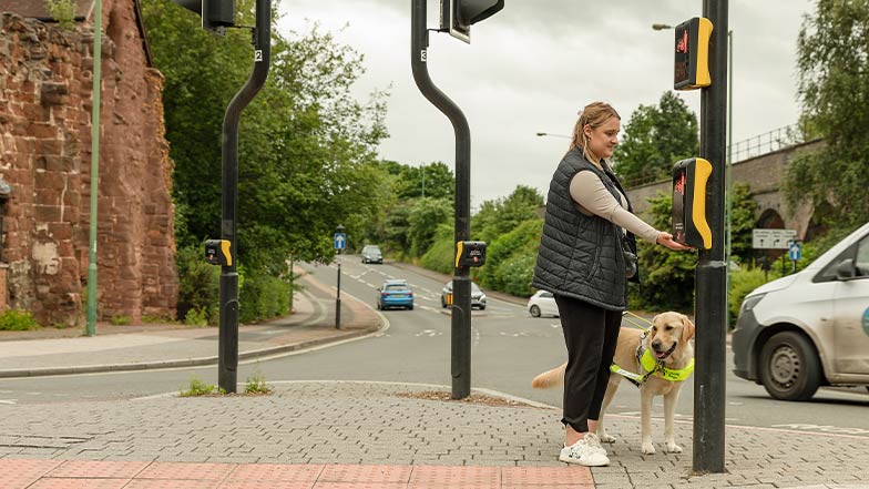 A guide dog owner and her guide dog approach a crossing box. She is feeling for the spinning cone with her free hand.