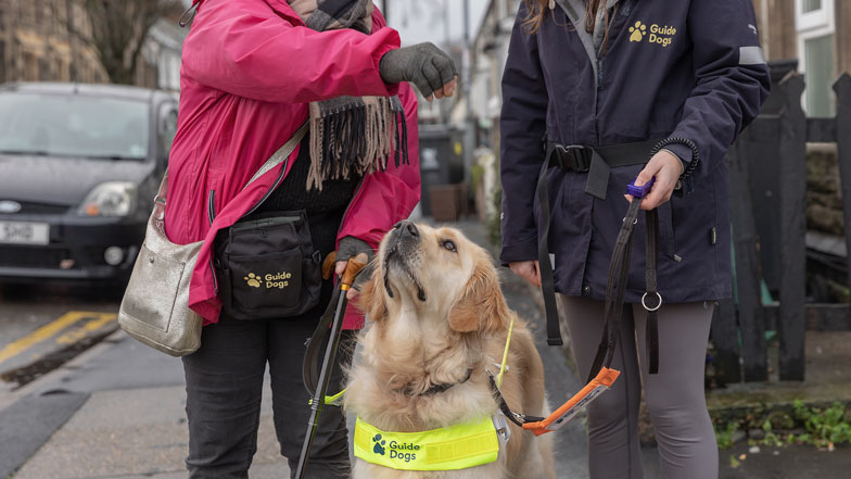 A guide dog owner standing with a Guide Dog Mobility Specialist giving a guide dog a food reward 