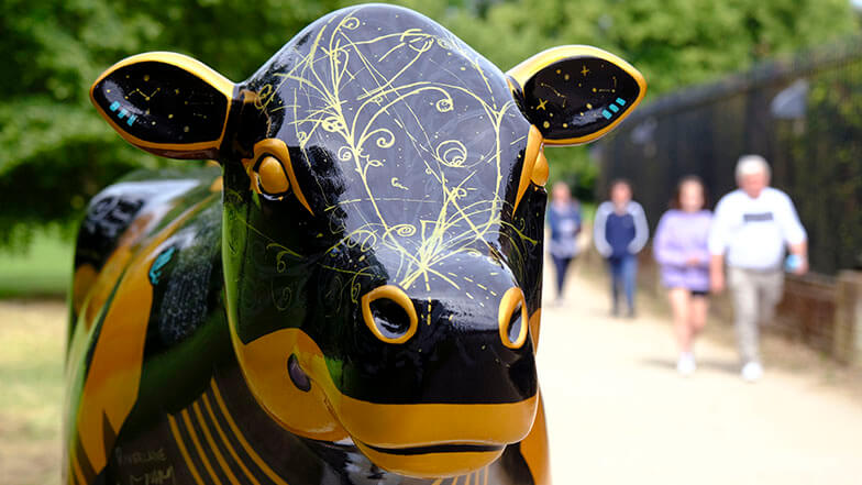 The head view of a black and gold decorated cow sculpture located in a park.