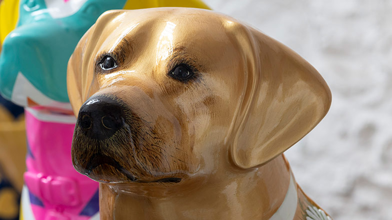 Close up of the sculpture's head which is painted gold with a realistic dog face.