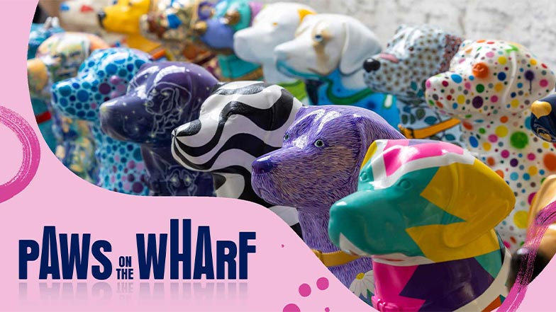 Image shows colourful painted dog statues. There is a pink and blue graphic over the top which says 'Paws on the wharf'.