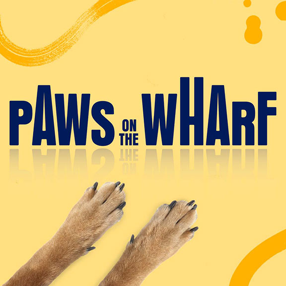 Yellow graphic with the Paws on the Wharf logo in the centre and a pair of dog paws reaching up from the bottom towards the logo
