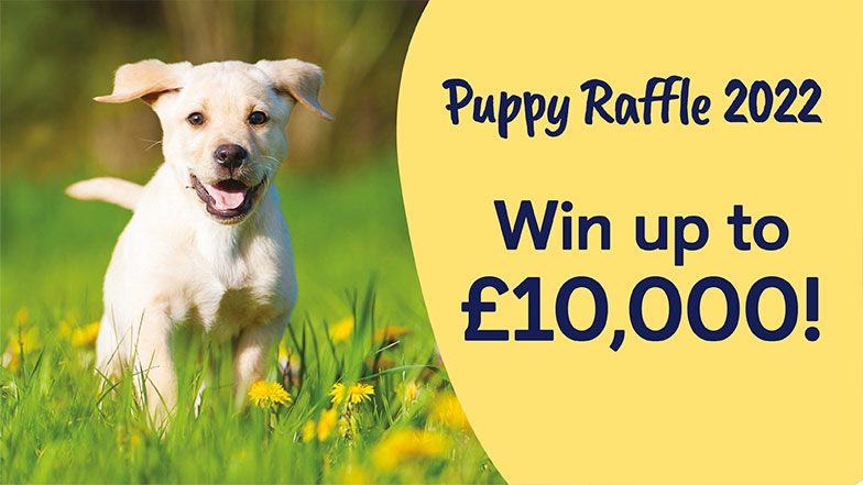 Puppy running through grass next to text - Puppy Raffle 2022, win up to £10,000 