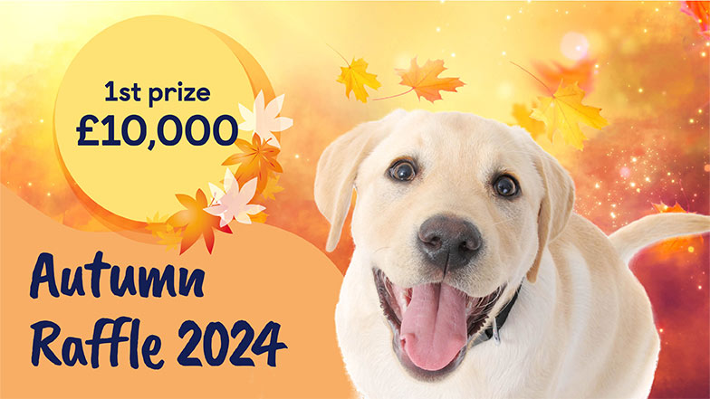 A golden Labrador with their tongue out set against an autumnal background next to the following text -  "Autumn Raffle 2024, 1st prize £10,000".