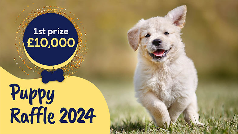 Golden retriever running on grass with their mouth open alongside a prize bubble of 1st prize £10,000 and text 'Puppy Raffle 2024'