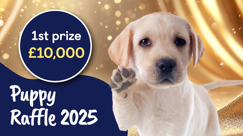 Golden Labrador puppy with their paw in the air alongside a circle displaying 1st prize of £10,000.