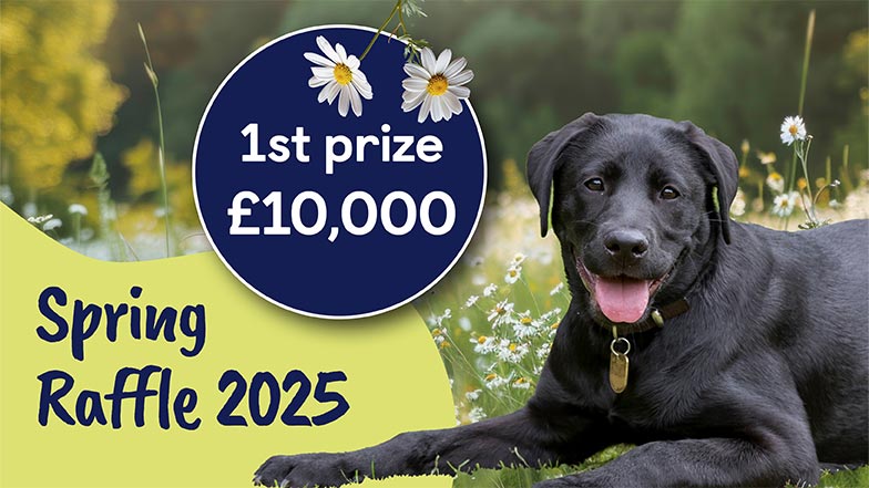 A black Labrador lying next to a banner with text, Spring Raffle 2025 1st prize £10,000.