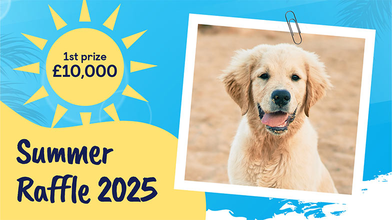 Guide Dogs' Summer Raffle 2025 displaying 1st prize of £10,000 in an outline of the sun alongside a photograph of a fluffy golden retriever.