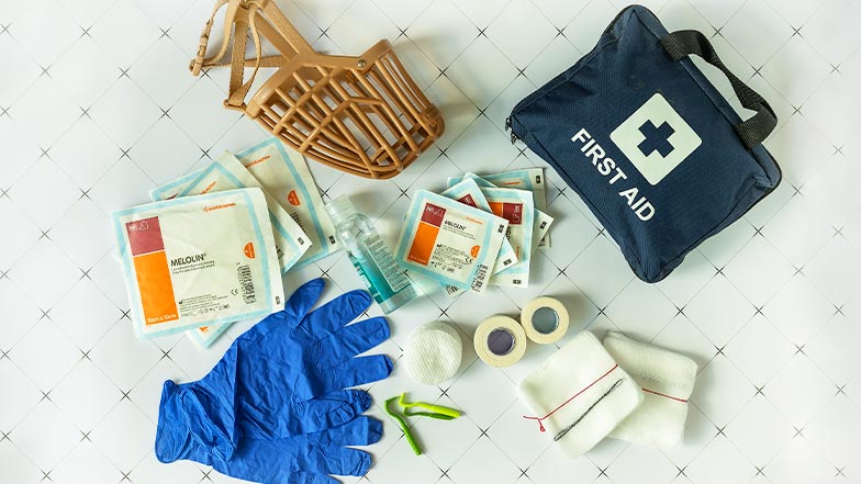 The contents of a dog first aid kit on a white tiled background.