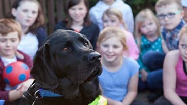 A guide dog sat with a group of school children
