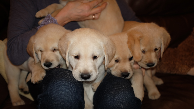 Cooper and his siblings at home