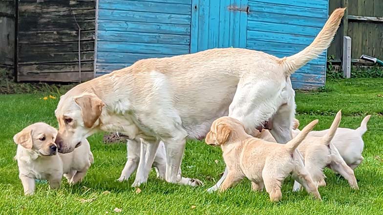 Hazel with her mum and her siblings standing together outside Hazel with her mum and her siblings standing together outside