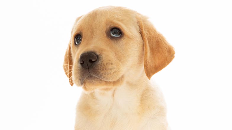 Hope looking upwards Hope looking upwards