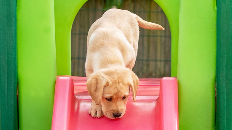 Hope going down a plastic slide