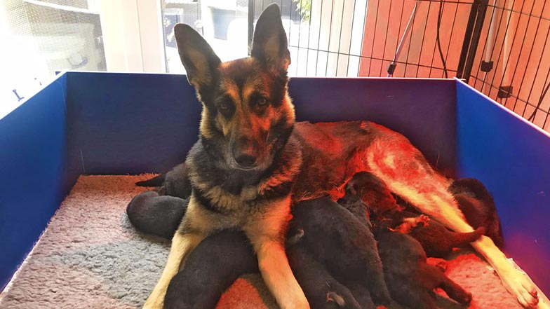 Lily and her siblings with her mum