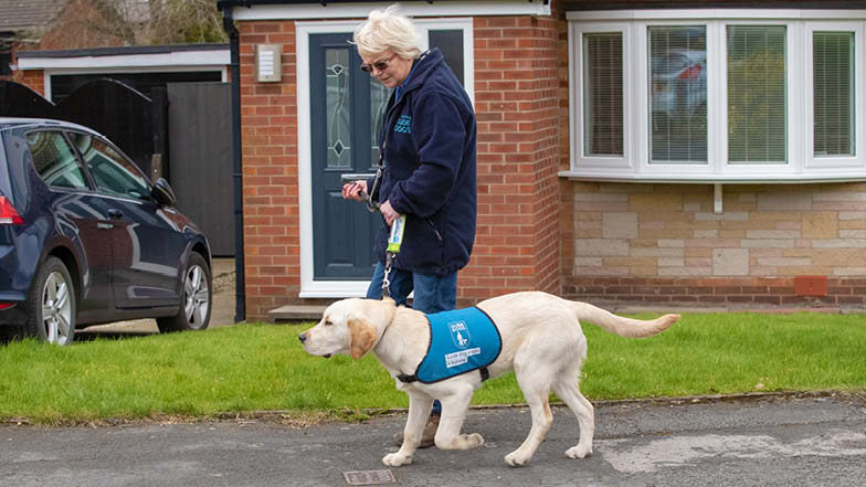 Murphy walking along a pavement in his blue puppy jacket