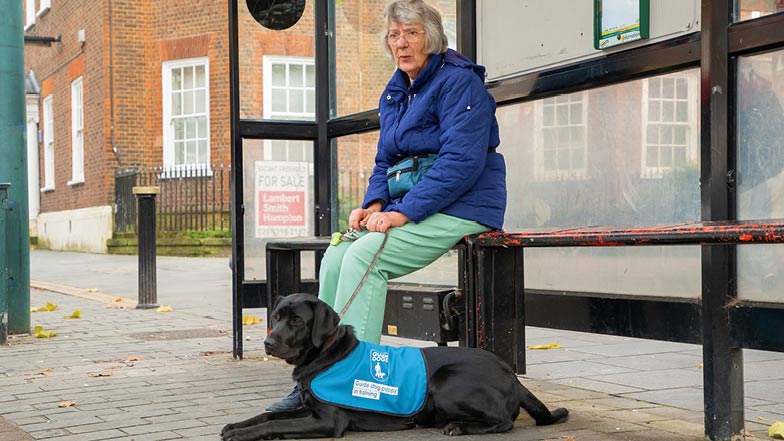Rosie and her Puppy Raiser at a bus stop
