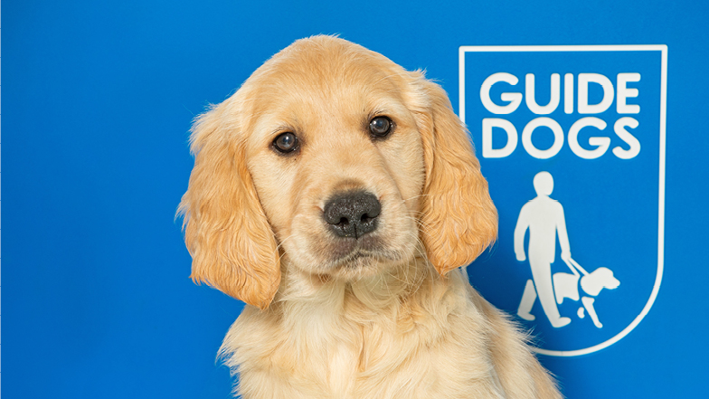 Ruby sitting in front of the Guide Dogs logo