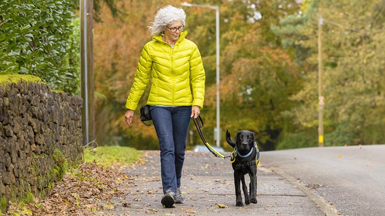 Sage loose lead walking along a pavement with Puppy Raiser Chrisi Sage loose lead walking along a pavement with Puppy Raiser Chrisi