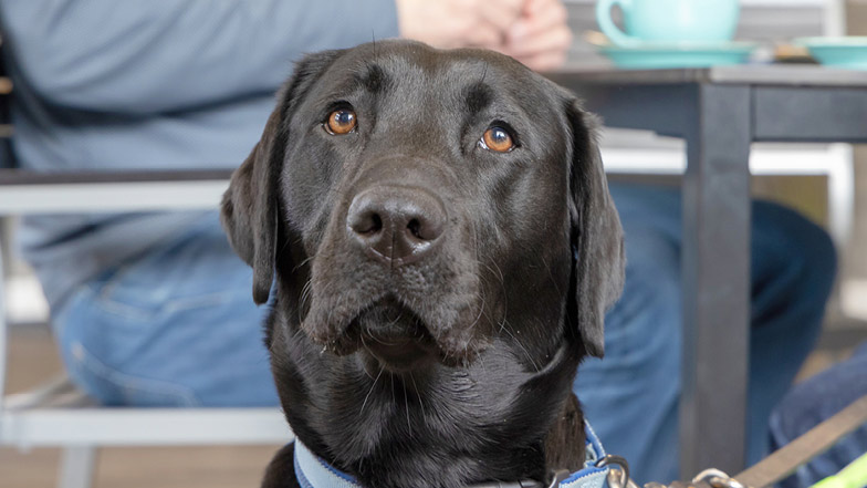 A close-up headshot of Sage in a café A close-up headshot of Sage in a café