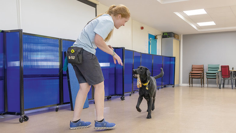 Sage and trainer Victoria playing together in a training room Sage and trainer Victoria playing together in a training room