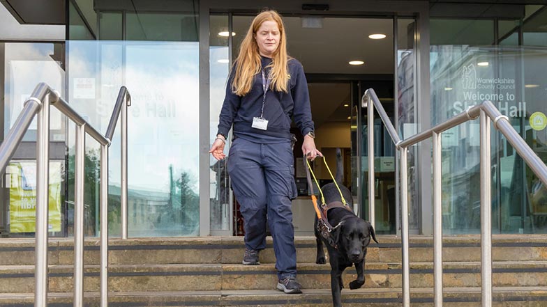 Sage wearing a brown training harness and guiding trainer Victoria down some outdoor steps.