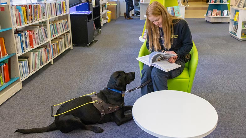 Trainer Victoria sitting on a chair in a library reading a book with Sage lying in front of her. Trainer Victoria sitting on a chair in a library reading a book with Sage lying in front of her.