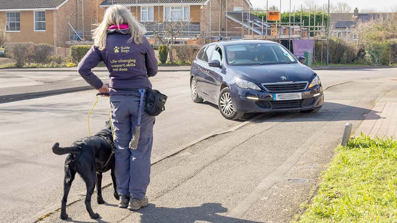 GDMS Nicola and Sage standing on a footpath waiting for a car as it turns into a driveway. GDMS Nicola and Sage standing on a footpath waiting for a car as it turns into a driveway.