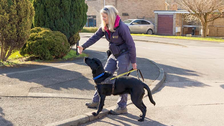 Sage standing with her two front paws on a kerb next to GDMS Nicola who is holding her hand out in front of Sage. Sage standing with her two front paws on a kerb next to GDMS Nicola who is holding her hand out in front of Sage.