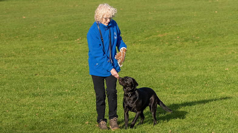 Skye training in a field with her Puppy Walker