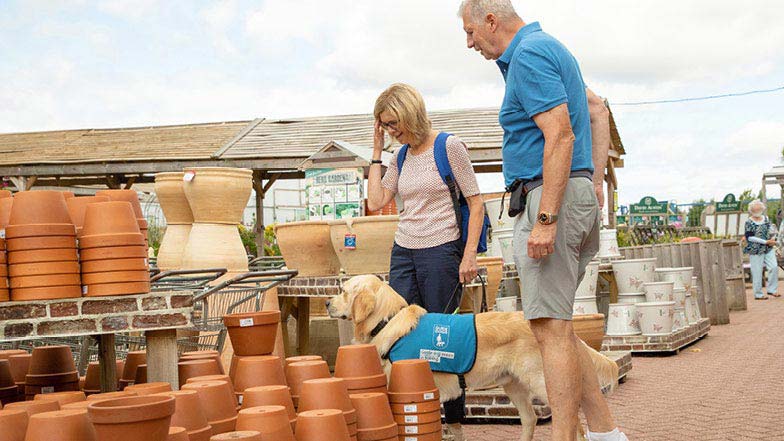 Sprout with his Puppy Raisers at a garden centre