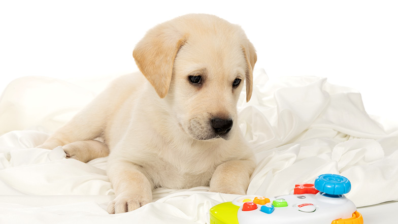 Theo lying on a soft white blanket looking at a toy