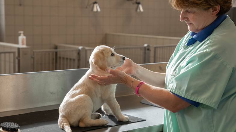 Willow with a Dog Care Technician