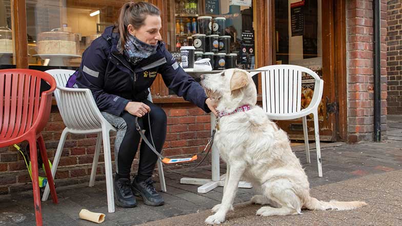 Willow and her trainer sitting outside a Café