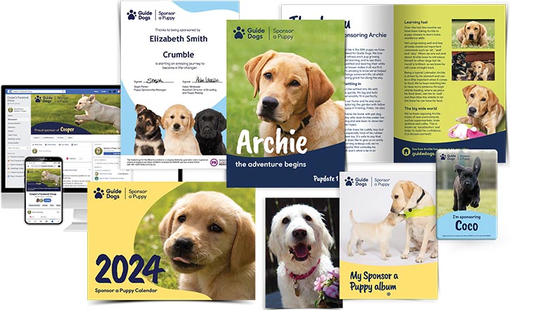 Guide Dogs Sponsor a Puppy welcome pack contents including a calendar, certificate and magnet