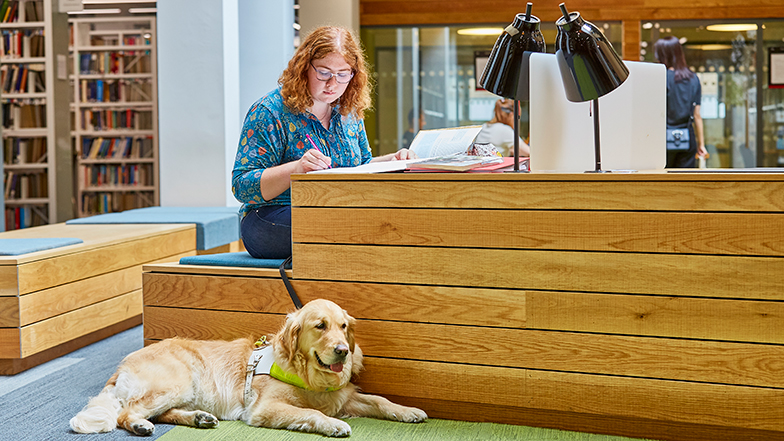 A university student studying in a library with her guide dog beside her.