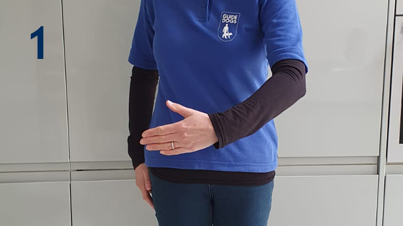 Image with the number 1 in the corner, with a Guide Dogs staff member placing the palm of their left hand on the right hip, diagonally across their body.