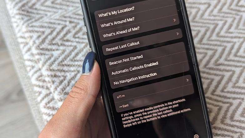 image of the voice vista app on the phone