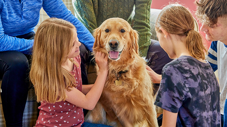 A dog relaxes with a group of children