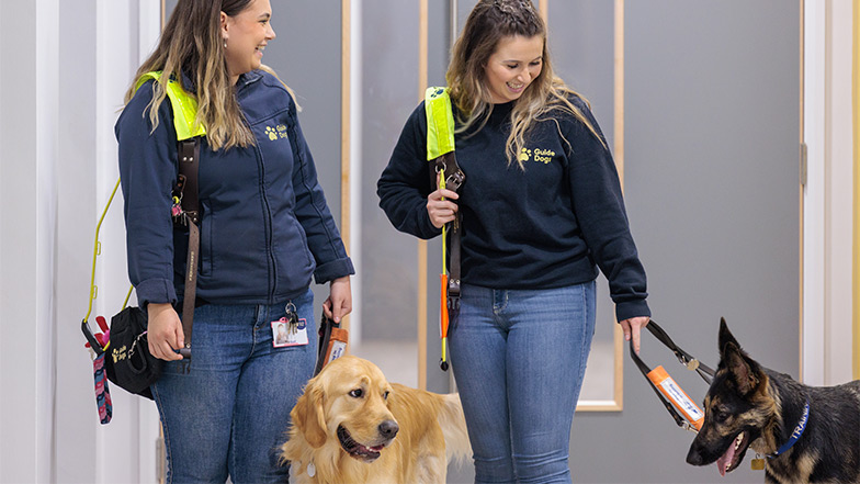 Two trainers smile as they walk with guide dogs in training