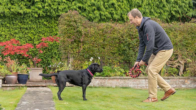 A Training Dog Fosterer playing with a black Labrador in their garden