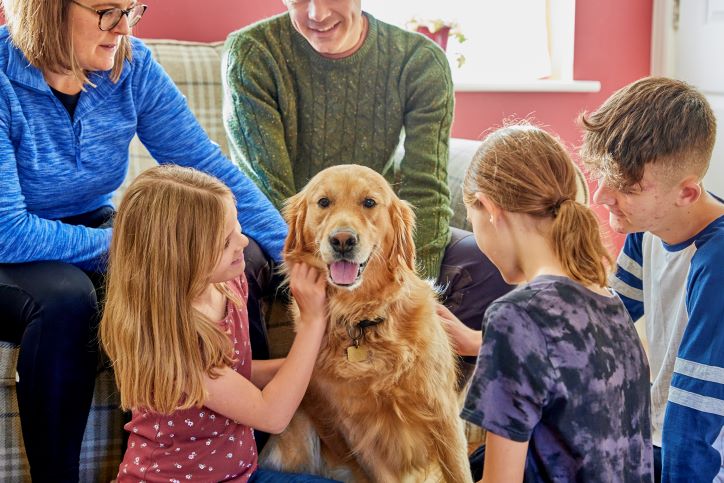 A dog is being petted by adults and children